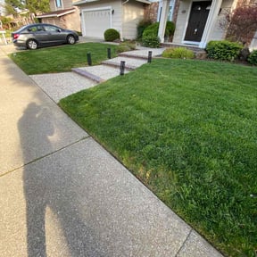 gardening service by DTE Maintenance Llc reviewed on August 18, 2025