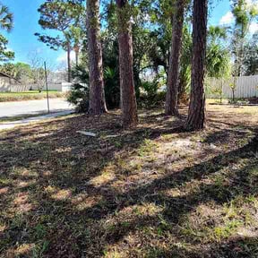Leaf Removal by Eagles lawncare reviewed on April 19, 2026