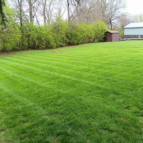 lawn care services by R+Care Lawn Services reviewed on June 20, 2025