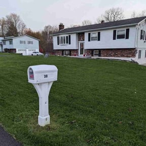yard service by Elite Lawn Care reviewed on August 15, 2025