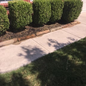 Flower Bed Weeding by Threebrothers reviewed on August 17, 2025