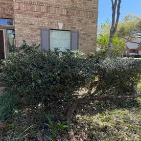 Bush Trimming by Mid-Atlantic Home Maintenance reviewed on August 19, 2025