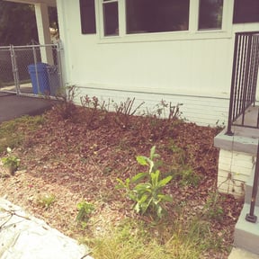 Bush Trimming by Bennett Lawn Maintenance reviewed on May 17, 2023