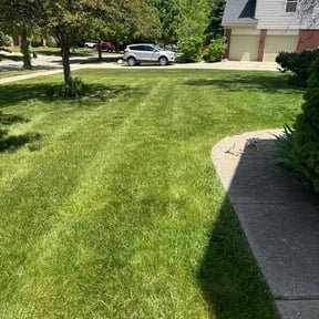 yard service by Williams General Services LLC reviewed on May 12, 2024