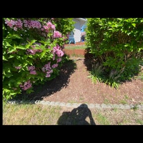 Bush Trimming by Cuñados Landscaping reviewed on August 20, 2025