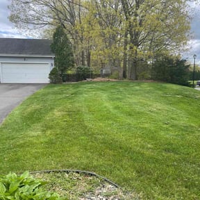 gardening service by Martínez landscaping reviewed on November 22, 2025