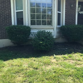 Flower Bed Weeding by R&T lawncare reviewed on August 17, 2025