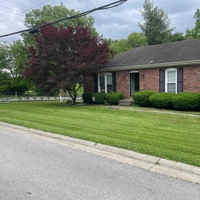 lawn care services by Jennifers Clean Outdoors reviewed on June 8, 2024