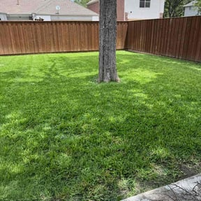 gardening service by Three Kings Grounds Keeping reviewed on December 3, 2025