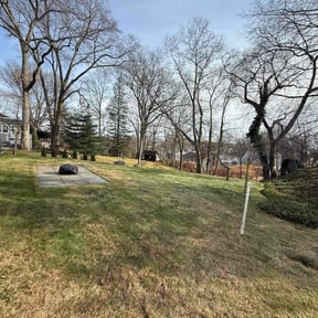 Leaf Removal by Platinum Yards reviewed on December 10, 2025