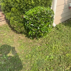 lawn maintenance by MLB Landscaping reviewed on April 10, 2024