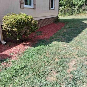 Bush Trimming by Sinaí Tree and lawn care expertsI hope to soon be able to help you with your garden or with any proj reviewed on June 14, 2026