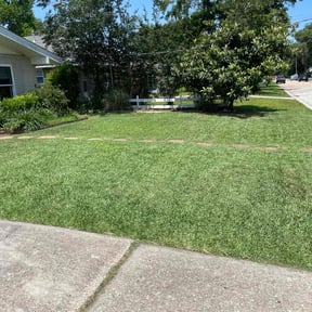 landscape maintenance by American  lawn care reviewed on December 11, 2025