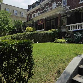 gardening service by Green Gobbler Lawn Care LLC reviewed on August 21, 2025