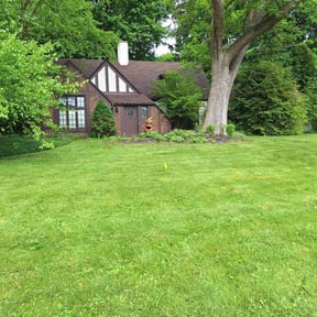 yard work by Lawnscape pros reviewed on November 23, 2025