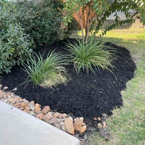 Mulching by selwyns cuts reviewed on August 16, 2025