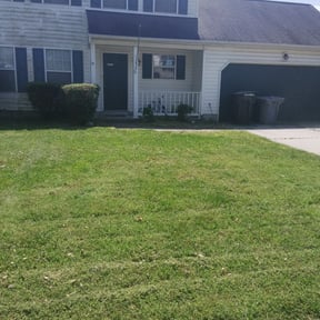 Bush Trimming by KJM Lawn &amp; Landscape reviewed on November 22, 2025