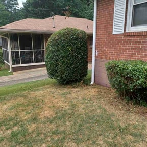 Bush Trimming by Jr's Landscape reviewed on August 17, 2025