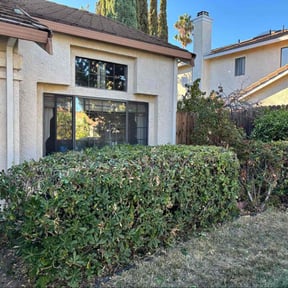 Bush Trimming by Trey Johnson landscaping reviewed on November 24, 2025