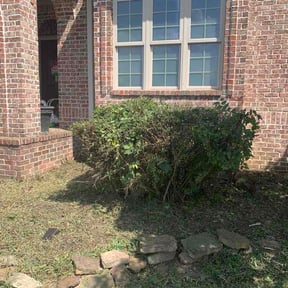 Flower Bed Weeding by Speedys Contractor LLC reviewed on July 29, 2026