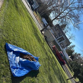 Leaf Removal by Gabriel Lawn Service &amp; more reviewed on December 4, 2025
