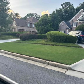 lawn care by Xtra Pair Of Hands reviewed on October 9, 2024