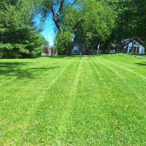 landscape maintenance by This &amp; That reviewed on November 25, 2025