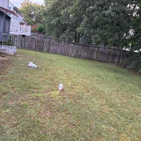 Leaf Removal by JD Landscaping reviewed on June 7, 2026