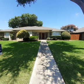 Bush Trimming by martinovich &amp; sons reviewed on November 22, 2025