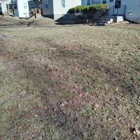 Leaf Removal by Lonestar landscape design DFW reviewed on July 5, 2026