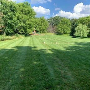 yard work by S.L.M reviewed on October 18, 2025