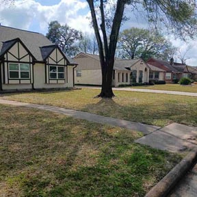 Leaf Removal by Trident Exterior Cleaning LLC reviewed on July 1, 2026