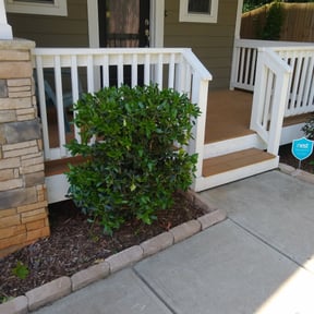 Bush Trimming by LoneStar Mow Pros reviewed on August 19, 2025