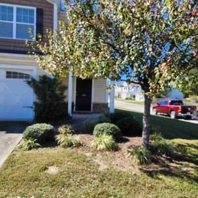 Bush Trimming by G E D Services LLC reviewed on November 10, 2025