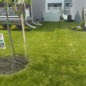 yard service by Xtra Pair Of Hands reviewed on August 18, 2025