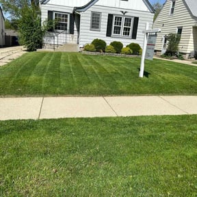 landscaping by Earthly Services reviewed on August 15, 2025