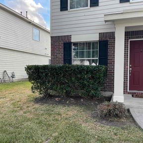 Bush Trimming by Fine Lines Landscaping reviewed on August 17, 2025