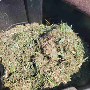 Bush Trimming by Prime Yard Lawn &amp; Tree service reviewed on June 14, 2026