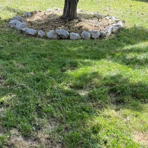 Flower Bed Weeding by Greg's Landscaping reviewed on August 16, 2025