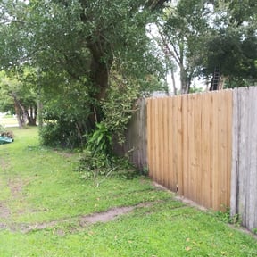 Bush Trimming by Sunrise Sunset Landscaping reviewed on August 17, 2025