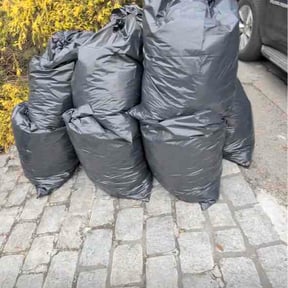 Leaf Removal by God's blessing reviewed on March 30, 2026