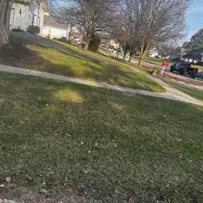 Leaf Removal by K&amp;M Lawn Care reviewed on August 30, 2026