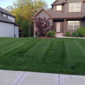 yard work by The Lawn Cypress reviewed on November 21, 2025