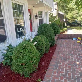 Bush Trimming by Blue Skies Lawn Care reviewed on August 18, 2025