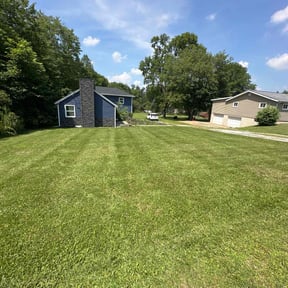 yard care by CraigScaped Lawn Love reviewed on November 18, 2025