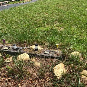 Outdoor Light Installation by  reviewed on January 15, 2026