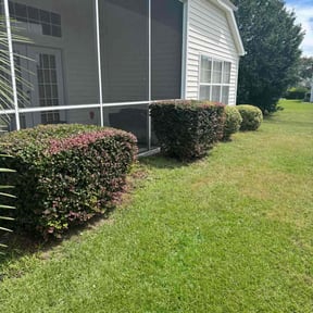 Bush Trimming by Quays lawn service  reviewed on November 23, 2025