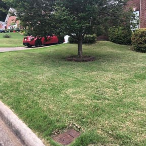 Bush Trimming by Kelley's lawn care reviewed on May 11, 2024