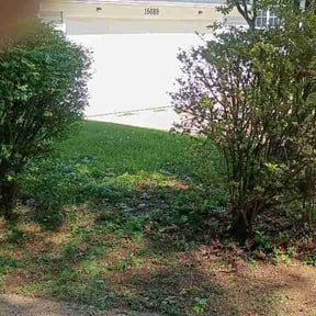 Bush Trimming by J&amp;C brothers landscaping llc reviewed on June 3, 2026