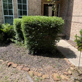 Bush Trimming by Stans lawn care reviewed on November 9, 2025
